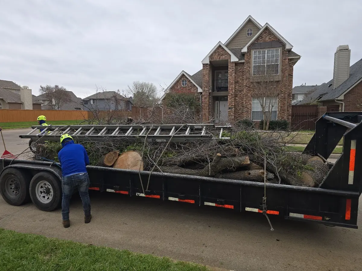 Expert Crown Reduction with proper safety equipment in Port Austin
